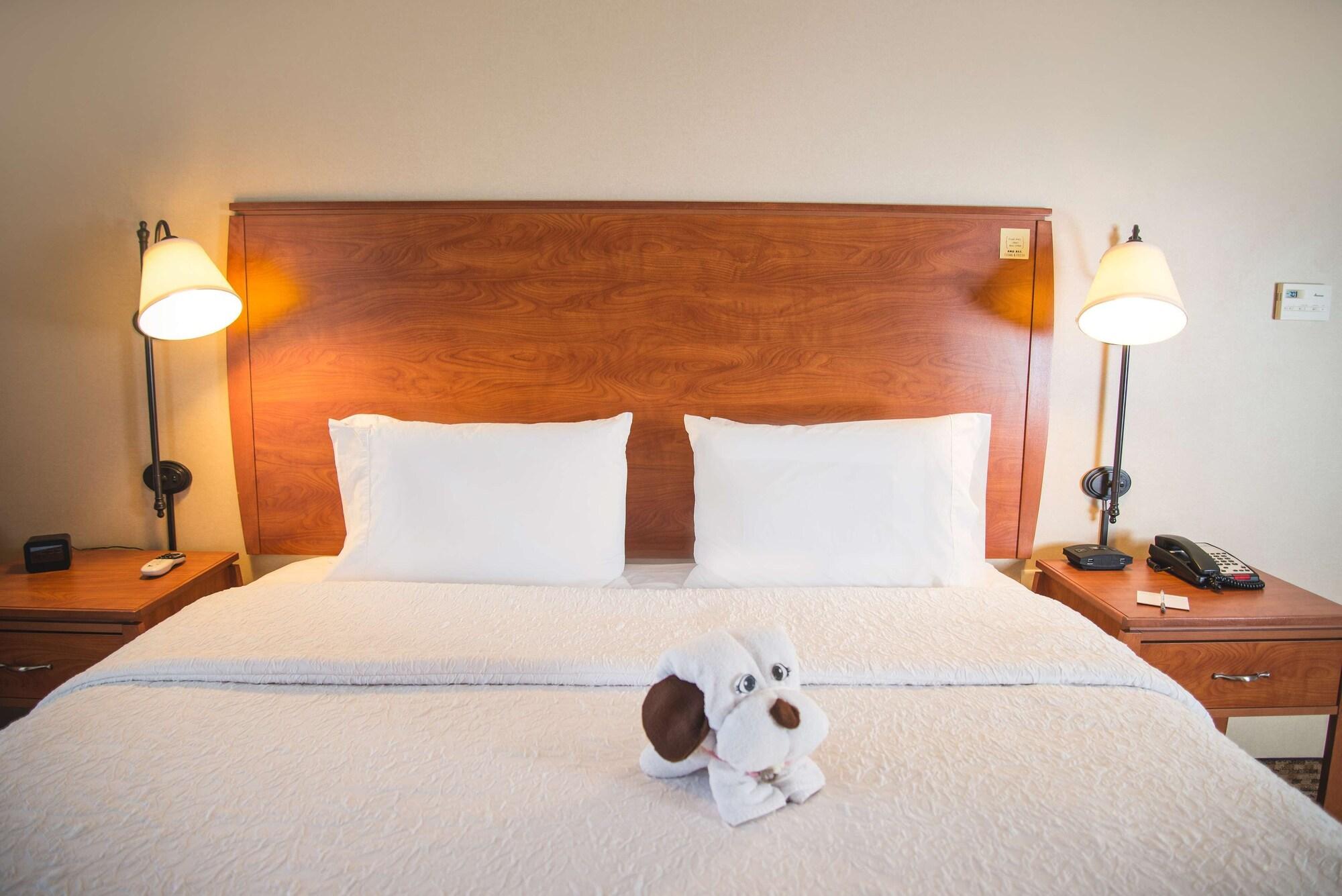 Hampton Inn & Suites Greeley Exteriér fotografie